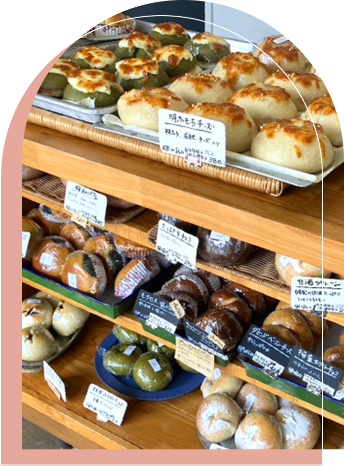 ベーグルのショーケース